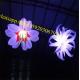 led flower , flower outdoor led lights , led flower, led balloon ,  inflatable flower, inflatable flower decoration