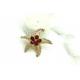 Five Pointed Star Brooch Pins For Clothes Gold Inlaid Diamond OEM ODM