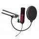 Aluminum Alloy USB Recording Microphone Dual Input Cardioid Condenser Microphone