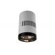 20W Surface Mount LED Lights Cylinder Ceiling Light 37V RoHS Dia.95 x 165mm