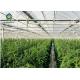 Agricultural Plastic 8m 10m Single Tunnel Greenhouse