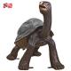 Metal Art Decoration Life-size Bronze Tortoise Sculpture for Custom Animal Statues