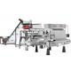 Chili / Vegetable Sorting Machine 1.0 T/H 2560Kg with Altera Processor