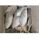 Health Golden Pomfret Fish 350G Fresh Frozen Seafood For Hotel