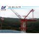 QTD5020 50m Jib Luffing Tower Crane Fixed Base Foundation External Climbing 10ton Load