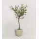 Airport PE 120cm Artificial Pomegranate Tree Environment Friendly