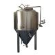 Capacity Customized Made Stainless Steel 304 GHO Fermenter for Beer Brewing Equipment