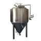 GHO 500l Fermenting Equipment Inner TH 2.5mm and Outer TH 2.0mm for Optimal Performance