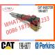 C-a-t injectors 3412 injector 198-6877 1986877 171-9704 232-8756 111-7916  20R-5392 for caterpillar 3412E injector