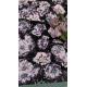 Mesh Tulle Sequin Embroidered Fabric 49 Inches Floral For Women Wear