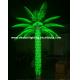 lighted palm trees
