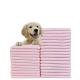 Freely Samples Offered Disposable Pet Pee Pads with Four Corner Positioning Stickers