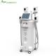 Whole Body Slimming Fat Freezing Physiotherapy Cryotherapy Facial Equipment