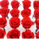 Red Real Forever Rose , Real Flowers That Last Forever For Wedding Decoration