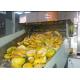 Automatic Pineapple Fruit Juice Production Line for Washing and Fruit Juice Pulp Producing