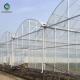 Plastic Multi Span Greenhouse Saw Tooth Roof Ventilation