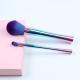 2 Pieces Cosmetic Brushes Set Slim Waist Magical Colors Fantastic Glossy Processing