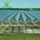 ODM Industrial Agricultural Glass Greenhouse