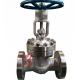API 600 Flanged Flex Wedge Gate Valve 2 Inch - 24 Inch Cast Stainless Steel