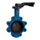 Diaphragm Lug Type Cast Iron Body Pn10/16/20/25 Butterfly Valves for Hydraulic Systems