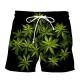 Anti UV Polyester Board Shorts Custom Picture Swim Trunks  Sustainable