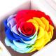 7-8CM Complex Colorful Preserved Rose Gift Box For Indoor Decoration