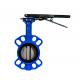 Lever Ductile Iron Butterfly Valve Double Flanged API 598/EN 12266-1 Test Standard