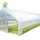 26ft Width Single Span Pipe Framed Greenhouse Anti UV Film High Tunnel Greenhouse