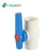 ANSI Standard PVC Plastic Ball Valve with Blue Handle and Fixed Structure from Supply