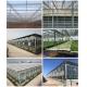 Efficiently Grow Crops Solar Agricultural Greenhouses  All Year Round