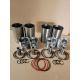 Ricardo Piston And Liner Sets Of 295/495/4100/4105/6105/6113/6126 Diesel Engine Spare Parts