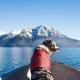  				Canine Flotation & Water Safety Swimming Jacket Clothes Dog Lifecoat 	        