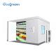 Commercial Cold Room Freezer Container For Frozen Vegetable And Fish Seafood