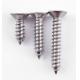 DIN7982 SS304 Flat Head Tapping Screw Cross Recessed CSK Tapping Screws