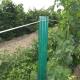 Green Color Coated Metal Plant Support Stakes , Orchard Post 2.5M Eco Friendly