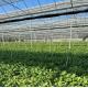 Multi-Span Film Greenhouse for Vertical Farming Package Size 50.00cm * 60.00cm * 50.00cm