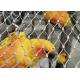2.0mm Aviary Wire Netting , Ferruled Parrot Aviary Mesh