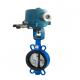 Chinese Control Valve With KOSO 3610 Valve Actuator