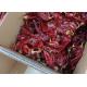 Red Jinta Chilli 0.3% Max Impurity Strong Pungent Flavor 25KG Packaging