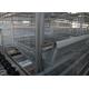 Several Tiers Poultry Farm Feeding System High Elasticity Reduce  Deformation