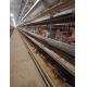 H Type Big Size Automatic Egg Layer Chicken Cage Hot Dip Galvanized Material
