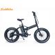 AL - ALLOY frame Electric Folding Bike / folding e bike with 48V 10AH lithium battery