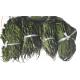 Dried Vernonia amygdalina Del leaves 100% natural anti cancer herb Nan fei ye