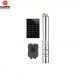 Solar Agricultural Water Pumping System DC96 4 Inch 1500w OEM 304 Stainless Steel