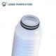 10 Inch PP Core PVDF Pleated Polyester Cartridge Filter With Fluorine Rubber