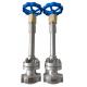 Manual Operation DN15 PN25 Cryogenic Globe Valve Stainless Steel