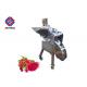Multifunctional Industrial Commercial 18mm Fruit Cube Cutter Machine