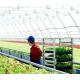 Customized Snow Vibrator Greenhouse for Tomato Planting Single or Multi Span Large