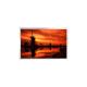 LS030Y3DX01 3.0 Inch 480*800 Resolution Lcd Screen Display