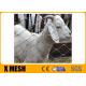 SS316 Inox Cable Webnet Stainless Steel Rope Mesh X Tend For Protection Animal